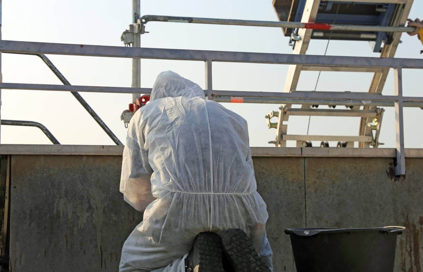 Professionelle Entfernung für ein sicheres Arbeitsumfeld